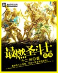 The Most Burning Saint Seiya System½б,The Most Burning Saint Seiya SystemȫĶ