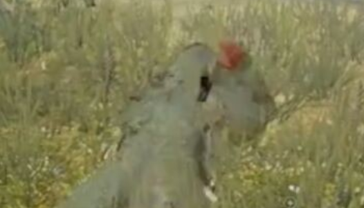 绝地求生草衣怎么来的