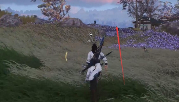 燕云十六声杏花不见怎么获得