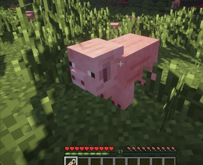 我的世界让生物倒过来的命名牌制作方法