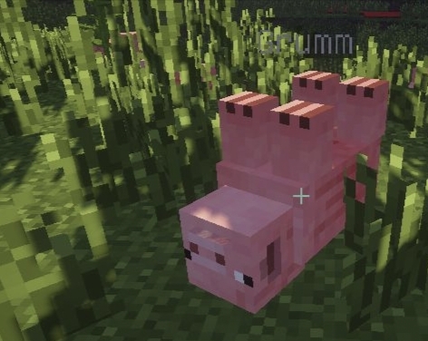 我的世界让生物倒过来的命名牌制作方法