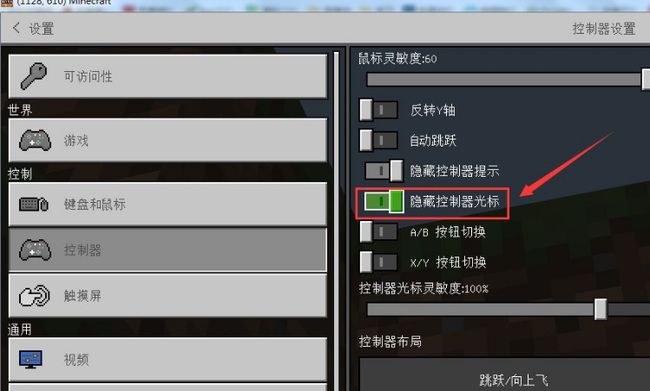我的世界怎么隐藏鼠标指针