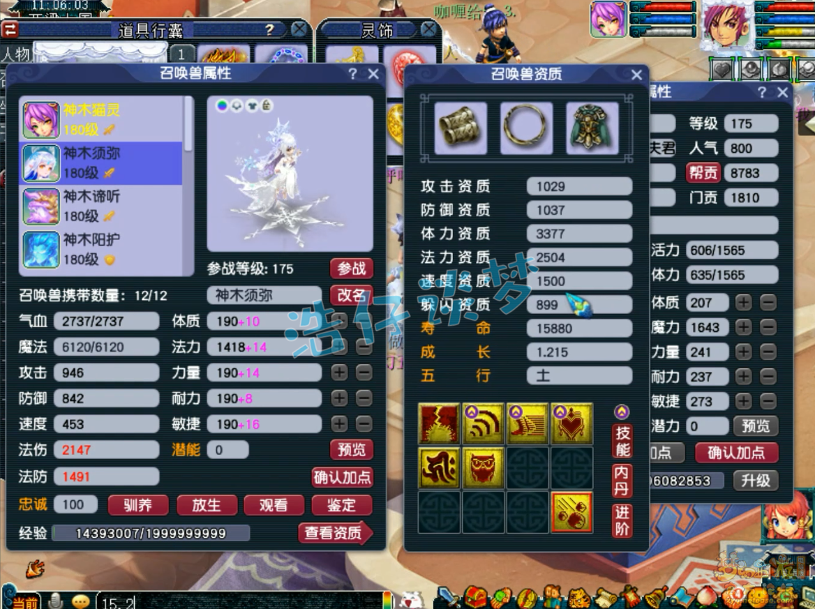 梦幻西游任务175神木林装备展示