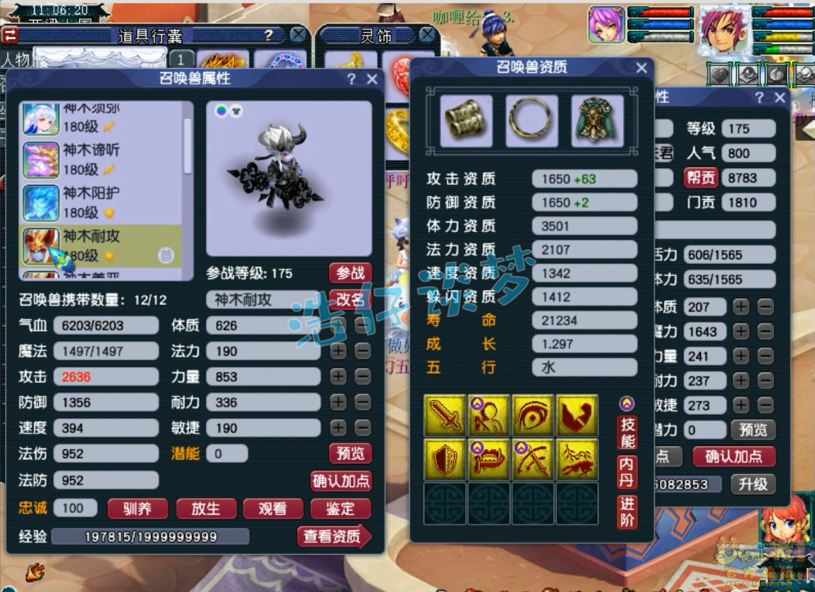 梦幻西游任务175神木林装备展示