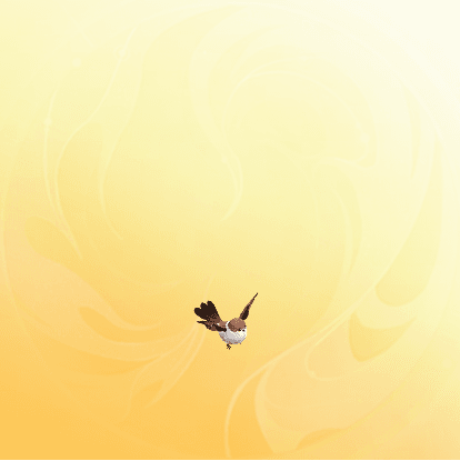 梦幻变化之术大全最新2025年