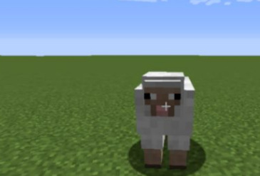 我的世界用命名牌做彩虹羊怎么做