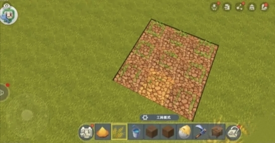 迷你世界怎么种麦子2025