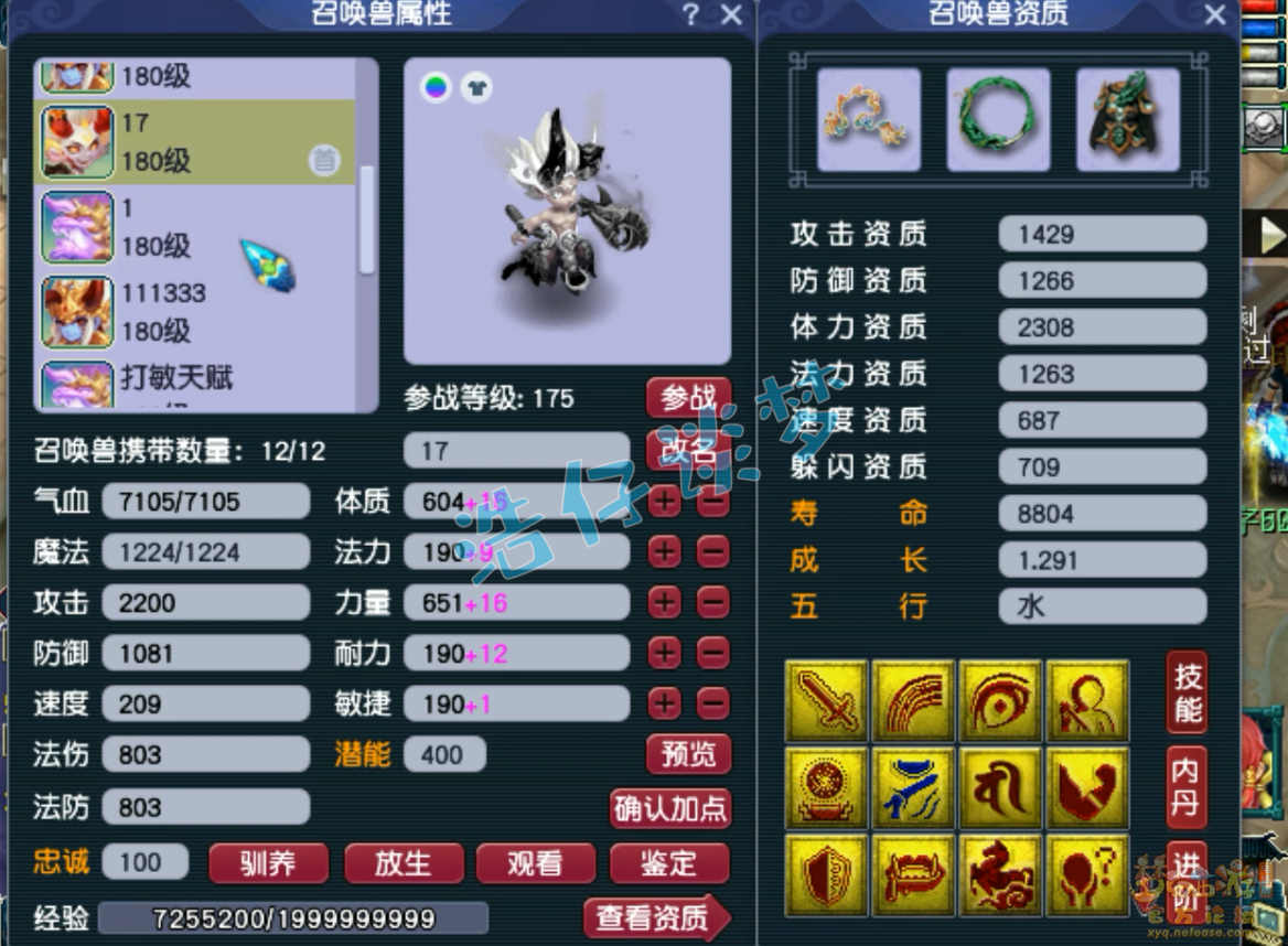 梦幻175神木林装备推荐