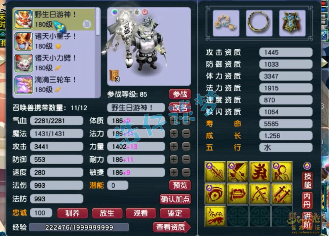 梦幻西游175物理虎贲大唐怎么穿装备