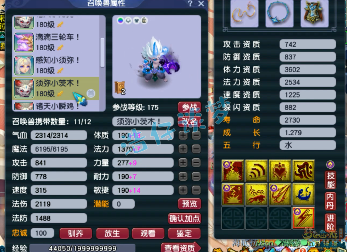 梦幻西游175物理虎贲大唐怎么穿装备