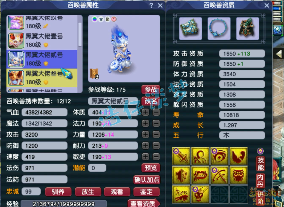 梦幻西游力普陀展示175