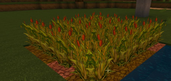 2025迷你世界鸡蛋怎么获得