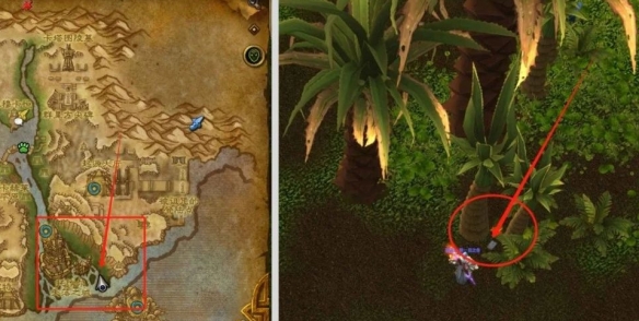 魔兽世界谜语人的灵蛇怎么获得