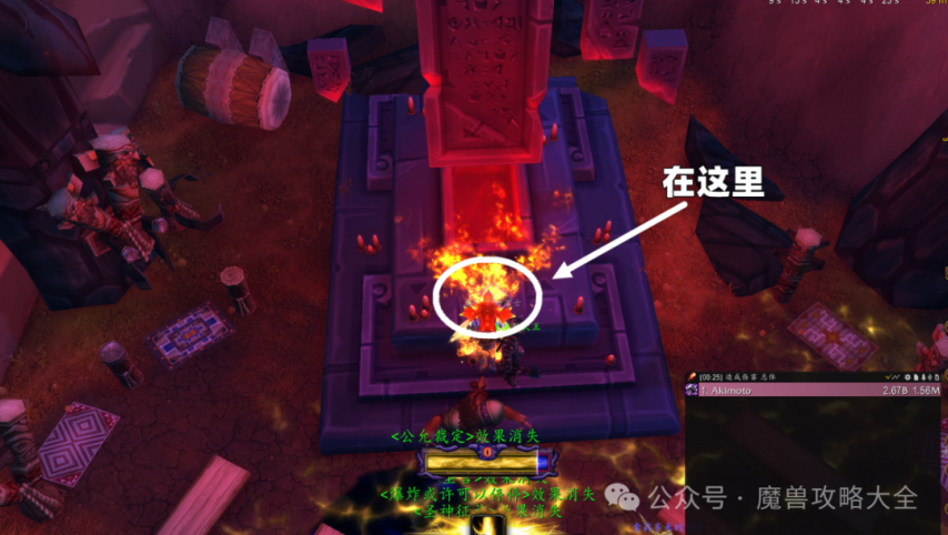 魔兽世界虚空水晶猎豹怎么获得