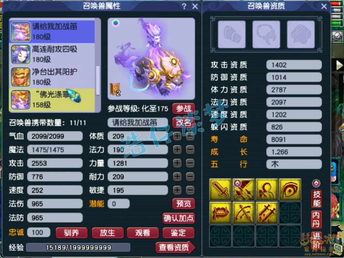 梦幻西游化生寺装备175级展示