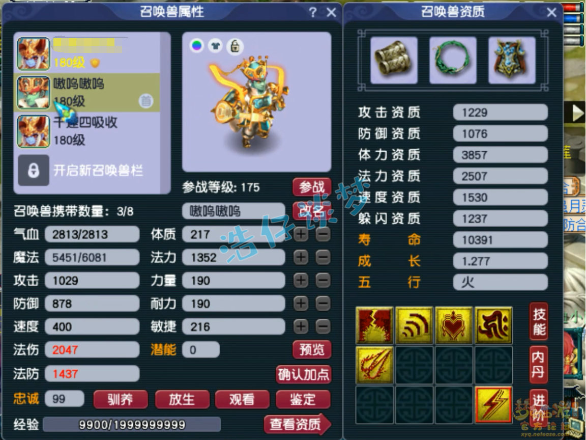 梦幻西游175帮战神木装备展示