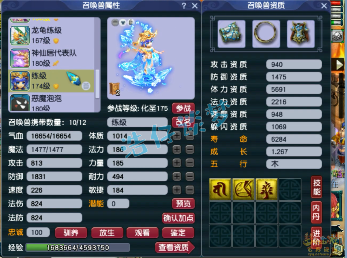 梦幻西游狮驼175任务装备展示图