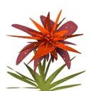 迷你世界香溢薯条怎么做