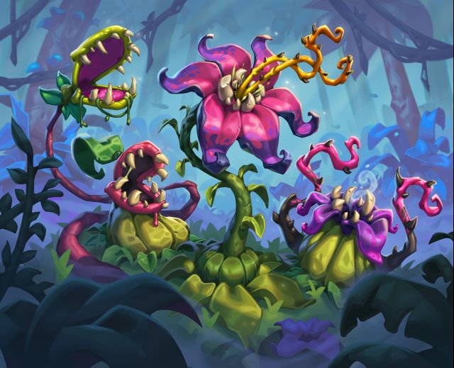 炉石传说导航员伊莉斯卡牌图鉴