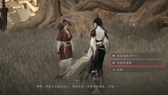 燕云十六声玉门关阿依苏见闻在哪