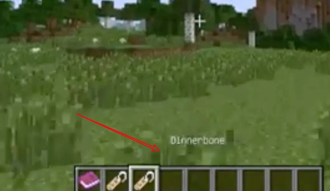 我的世界怎么让生物倒过来