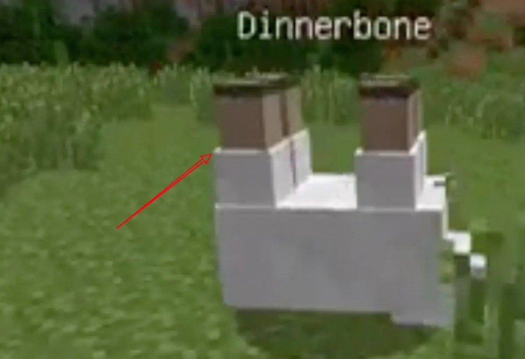 我的世界怎么让生物倒过来