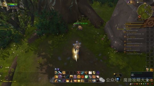 魔兽世界11.0达拉然下水道乌龟怎么获得