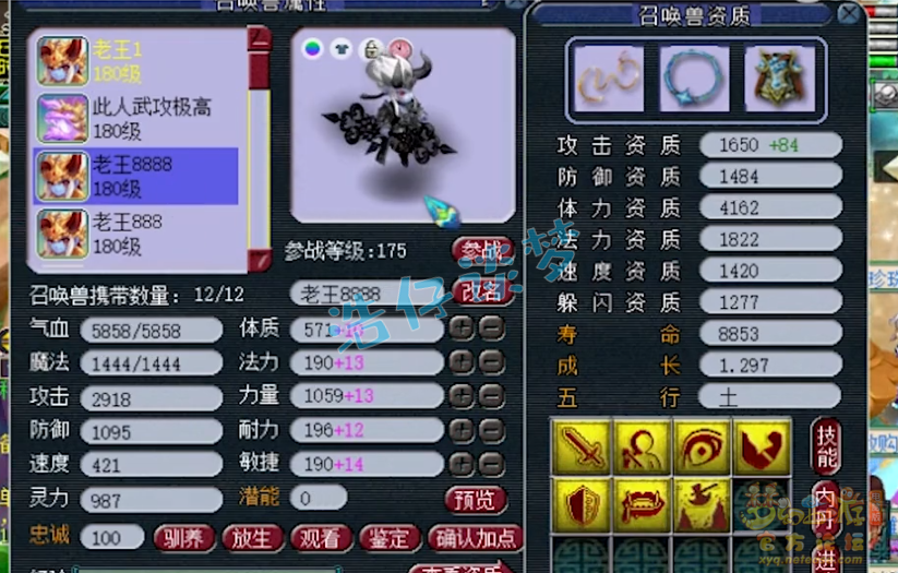 梦幻西游服战方寸展示