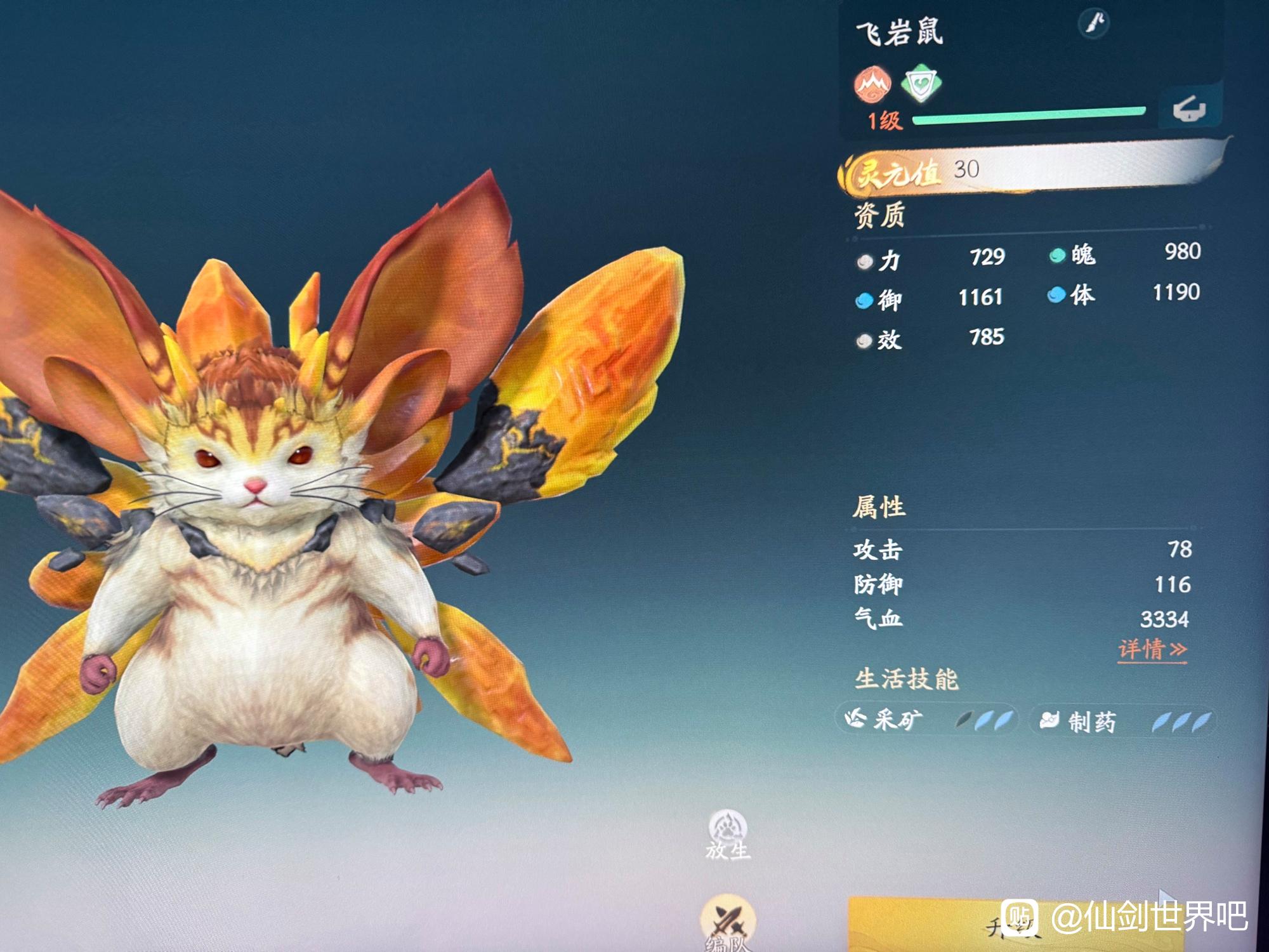 仙剑世界飞岩鼠在哪抓