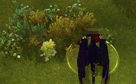 魔兽世界责任之课灌木点不了怎么办