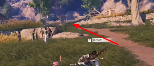 燕云十六声猫猫石头坑在哪