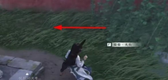 燕云十六声猫猫窃玄在哪