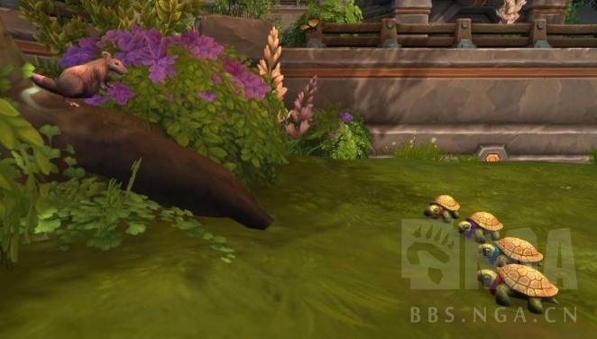 乌龟团聚2