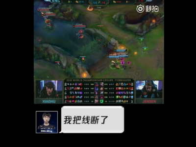 《LOL》S8总决赛10月14日加赛RNG语音分享