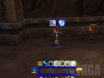 魔兽世界巫妖王之怒版本元素萨满打地鼠WA