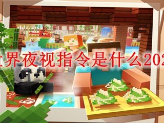 我的世界夜视指令是什么2025年版