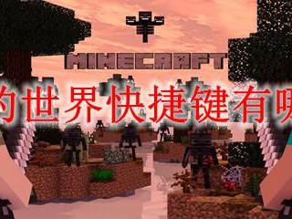 我的世界都有哪些快捷键？