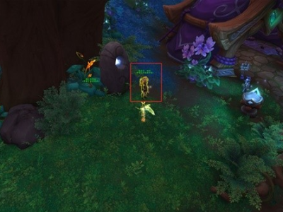 魔兽世界：盛放的梦境之种位于何处？