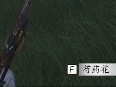 燕云十六声淬水蜡怎么获得