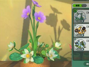 绝区零阿岚的花艺委托攻略