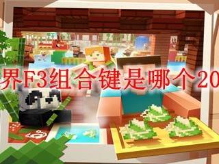 我的世界F3组合键是哪个2025年的