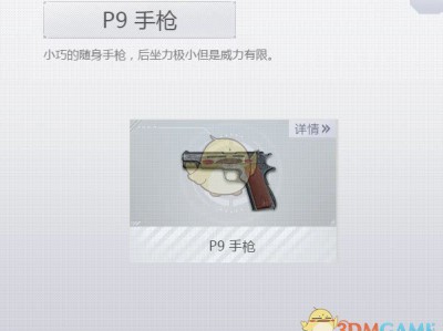 《荒野行动Plus》P9手枪介绍