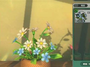 绝区零兰的花艺委托攻略