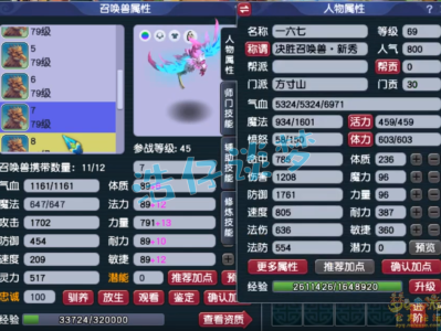 梦幻西游单挑方寸山配置69级