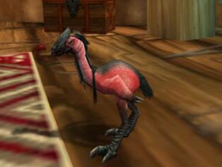 魔兽世界8.1爱情鸟雏鸟怎么获得