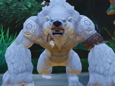 魔兽世界11.0熊德焦点打断宏