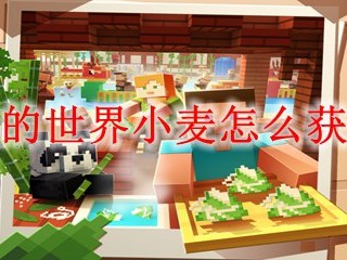 我的世界小麦怎么获得