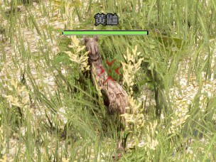 黑色沙漠怎么采集