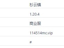2024年度《我的世界》杉云镇服务器概览