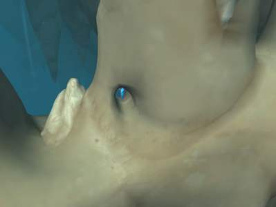 魔兽世界中，崖壁珍宝究竟隐藏着哪些秘密？打开它，你能获得什么惊喜？